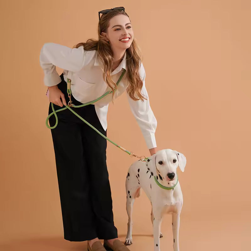 Hands Free Leash